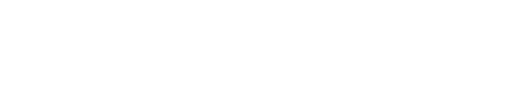 Pronfi